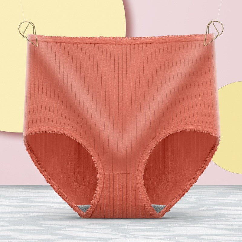 Waterproof And Antibacterial High Waisted Briefs