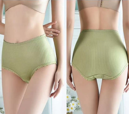 Waterproof And Antibacterial High Waisted Briefs