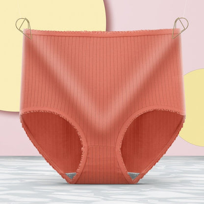 Waterproof And Antibacterial High Waisted Briefs