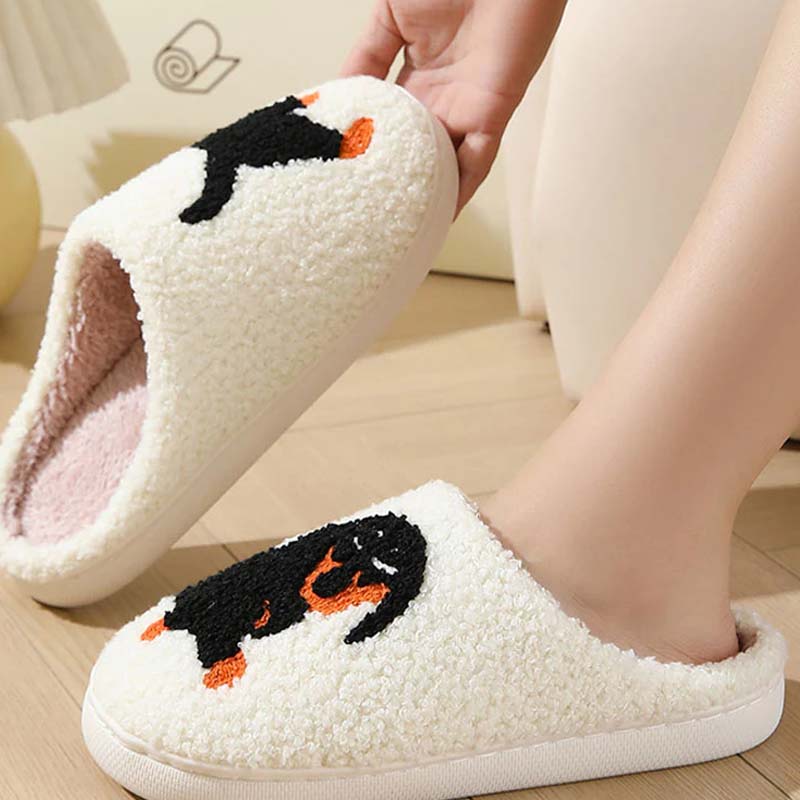 Women's Cute & Warm House Slippers