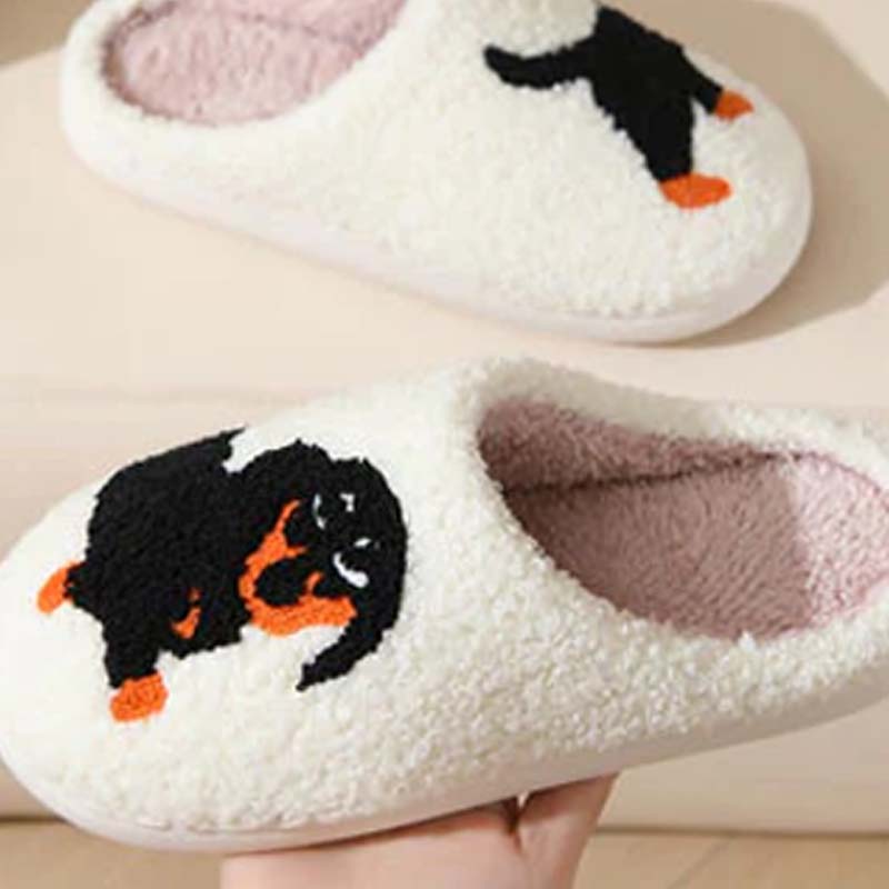 Women's Cute & Warm House Slippers