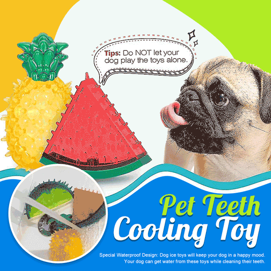BUY 1 GET 1 FREE TODAY🐾Pet Teeth Cooling Toy